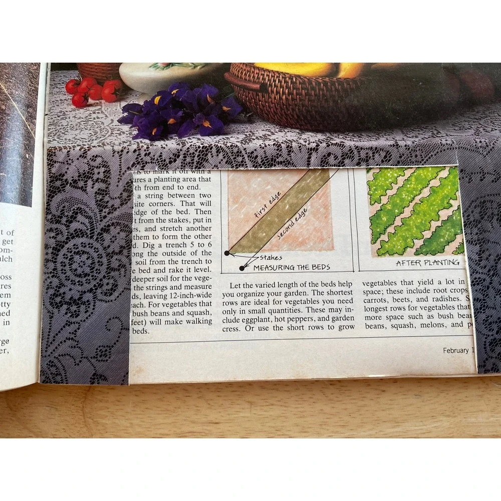 1984 February Southern Living‎ Magazine, 217 Pages, Vintage, Good Condition